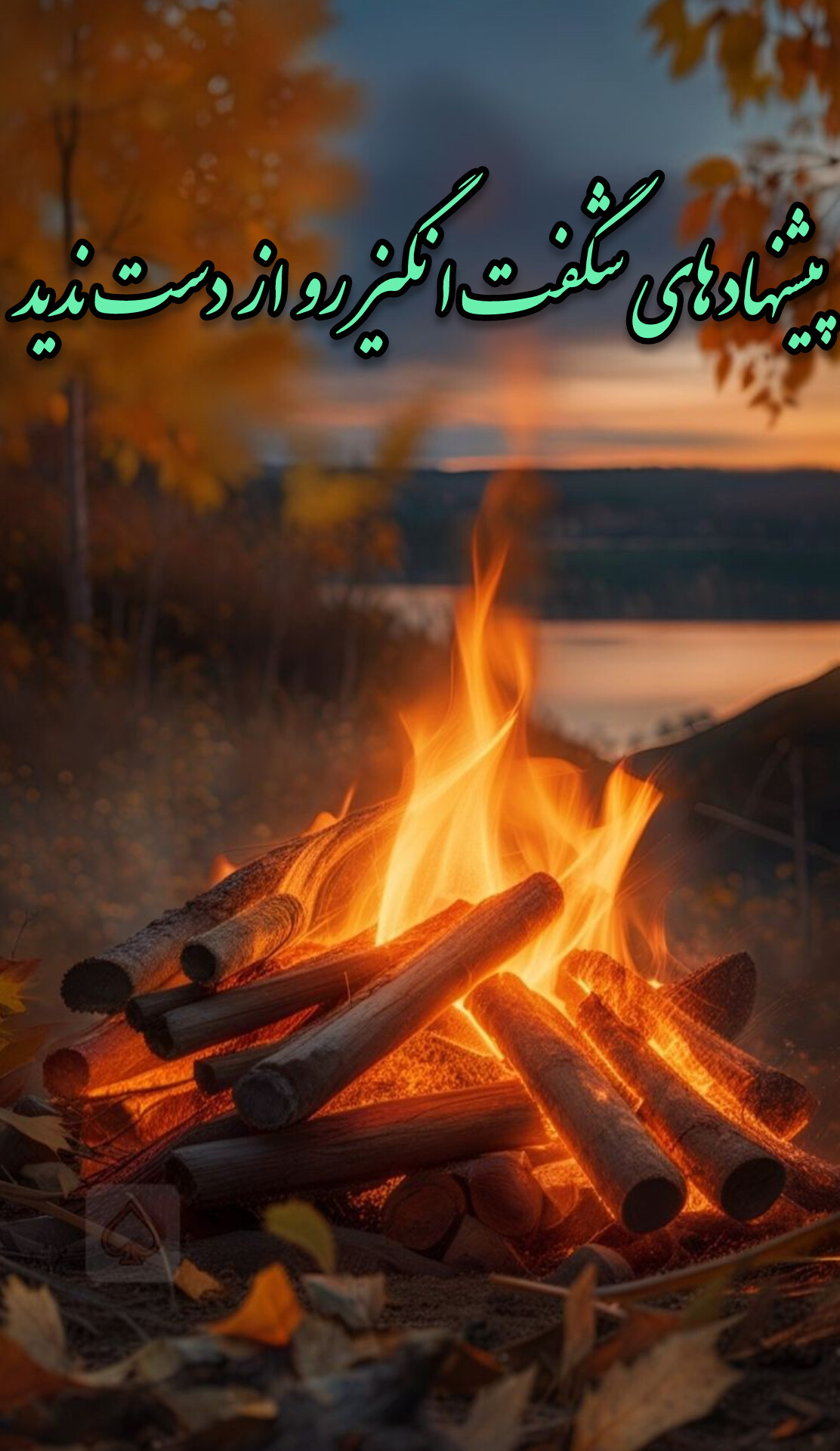 پیشنهادهای شگفت‌انگیز